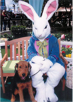 Bogart and the Easter Bunny