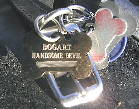 Bogie's New Tag