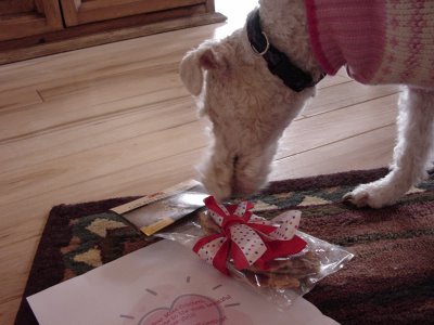 Snickers My Valentine