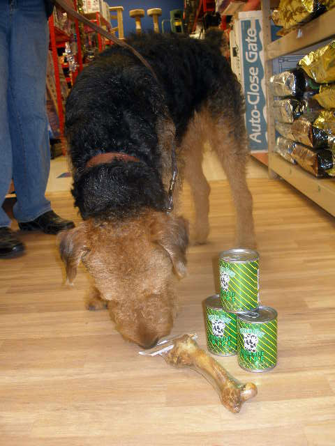 Bogart at Petco