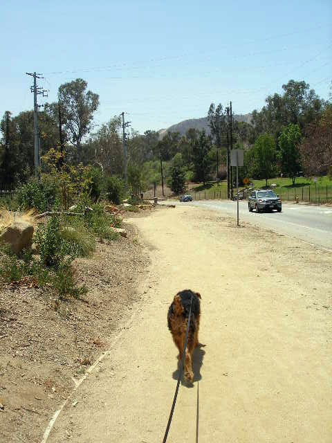 Griffith Park Bogie