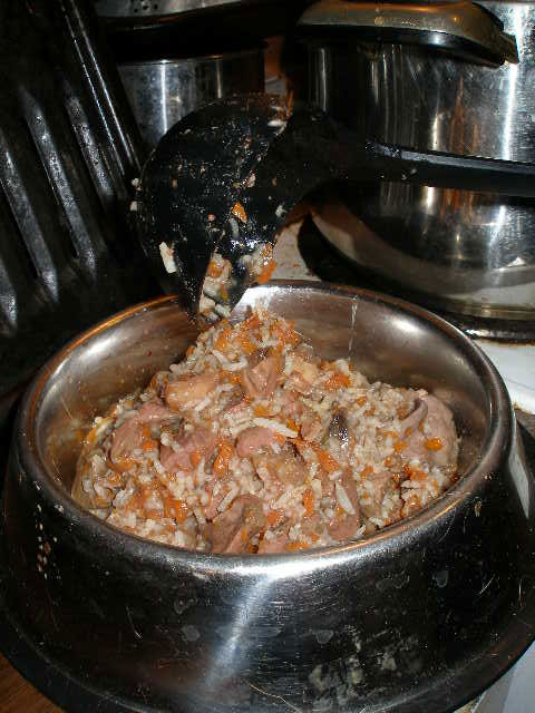 Bogart's Homemade Dog Food