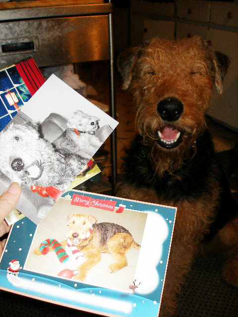 Bogie Xmas Cards