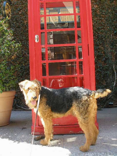 London Phone Box