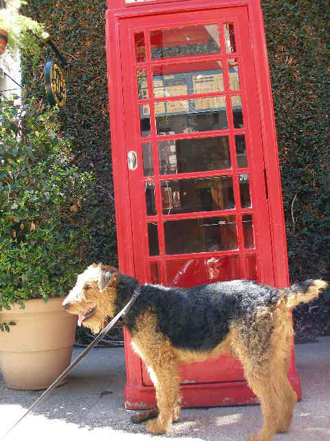 London Phone Box