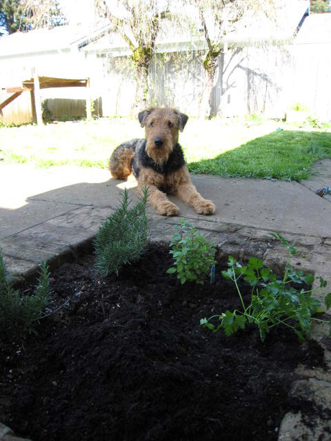 Garden Supervisor