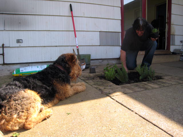 Garden Supervisor