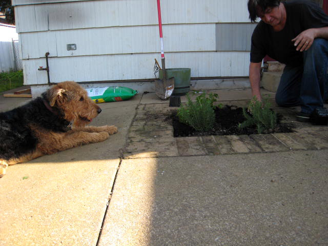 Garden Supervisor