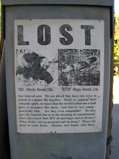 lostsign